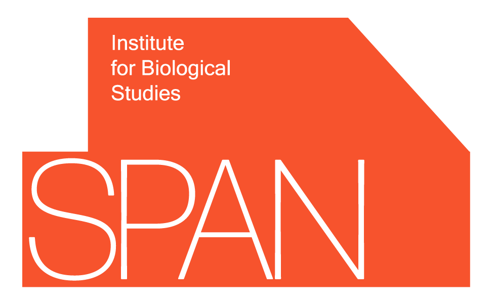 logo main